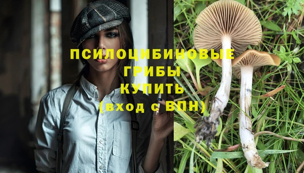Альфа ПВП Абдулино