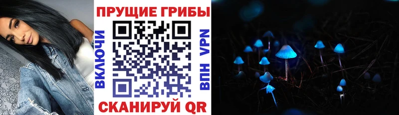 сайты даркнета как зайти Беломорск Галлюциногенные грибы Psilocybe дарнет шоп